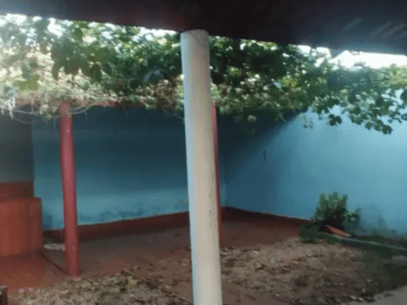 foto 2 Fundo com Fogão Caipira na Casa de 2 Quartos em Goianira