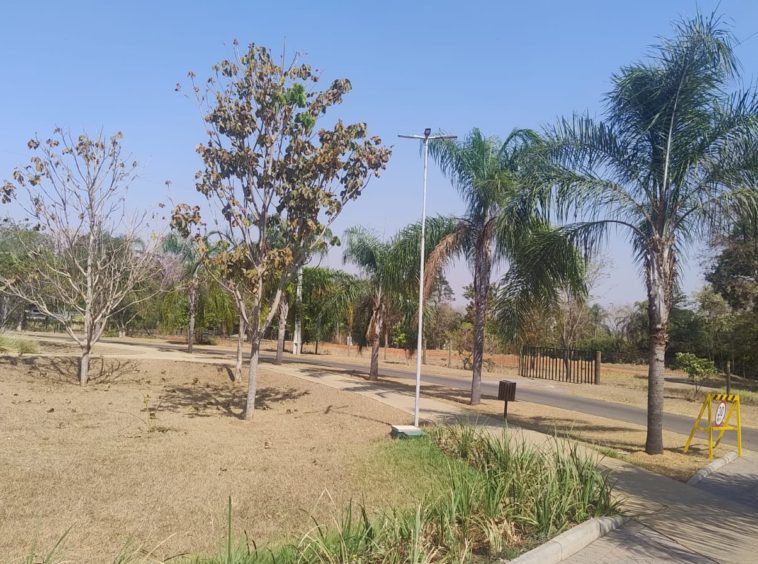 Área verde (foto 11) do Terreno no Alto da Boa Vista