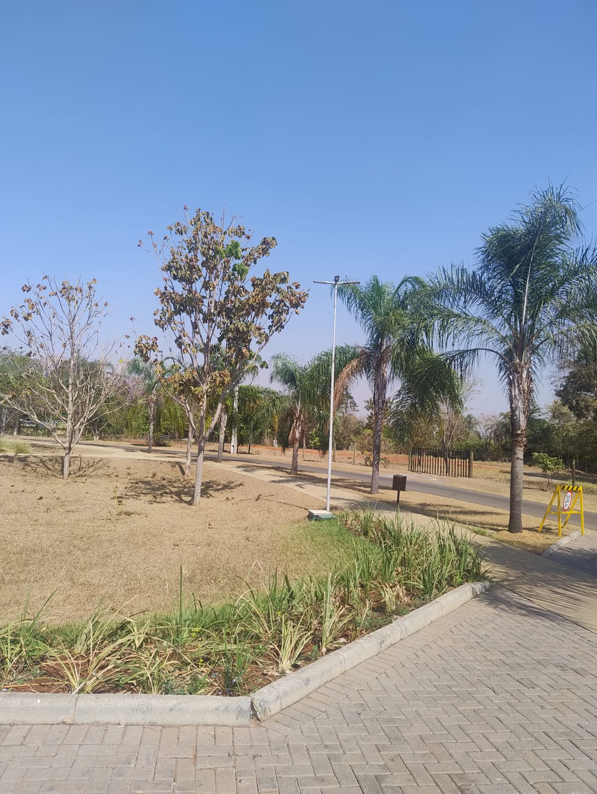 Área verde (foto 11) do Terreno no Alto da Boa Vista