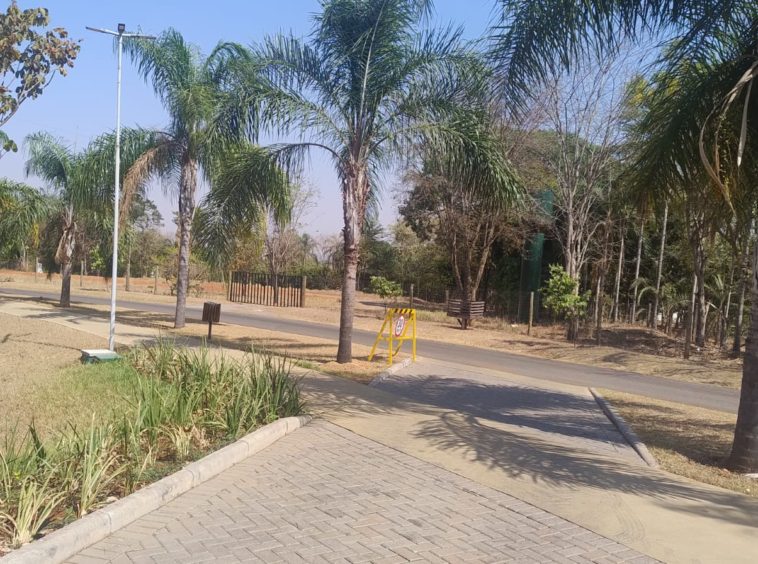 Área verde (foto 10) do Terreno no Alto da Boa Vista