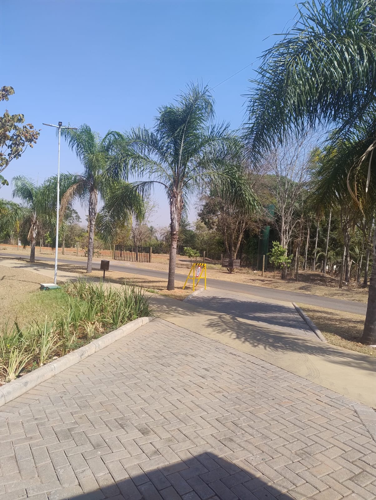 Área verde (foto 10) do Terreno no Alto da Boa Vista
