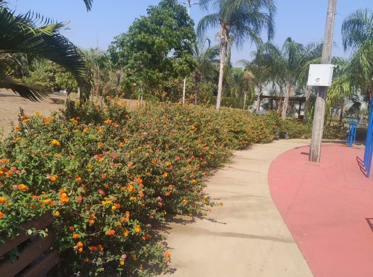 Mini Mercado (foto 6) do Terreno no Alto da Boa Vista