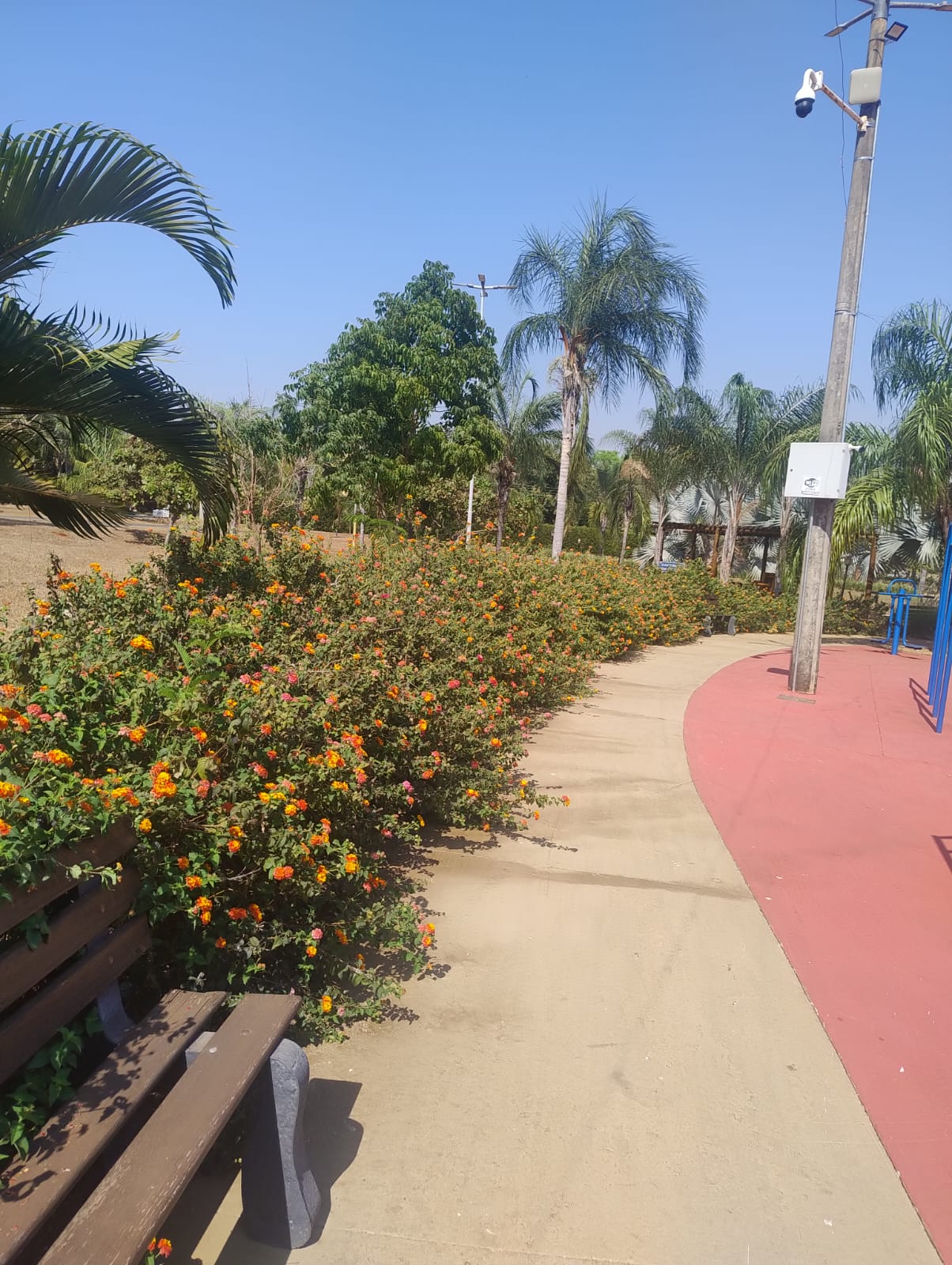 Mini Mercado (foto 6) do Terreno no Alto da Boa Vista