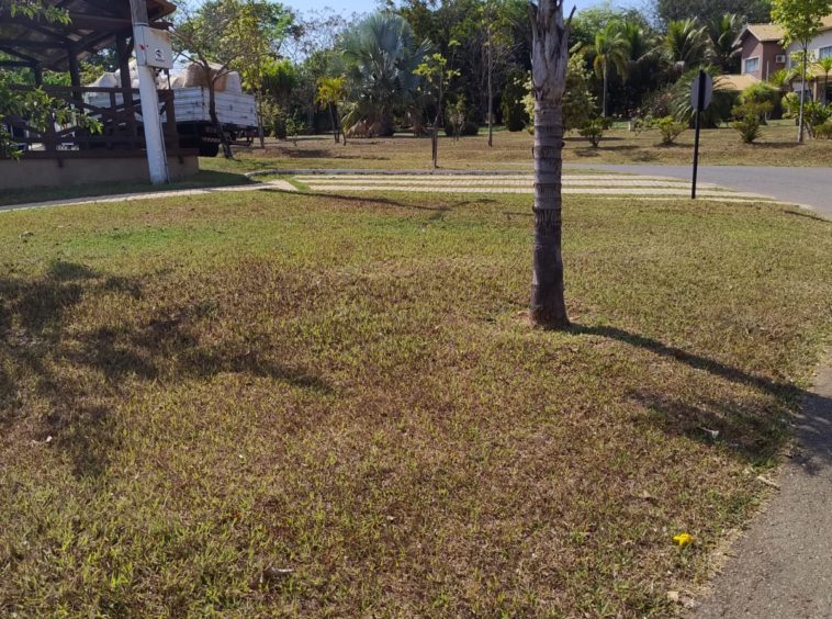 Área verde (foto 1) no Alto da Boa Vista