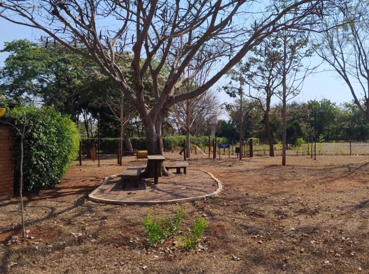 Área verde (foto 8) do Terreno no Alto da Boa Vista