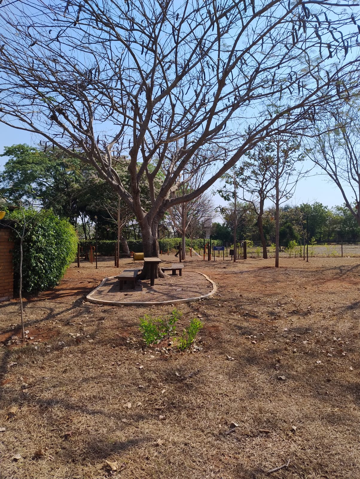 Área verde (foto 8) do Terreno no Alto da Boa Vista