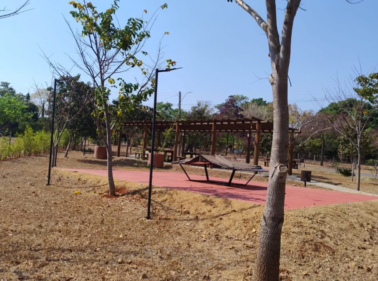 Área verde (foto 4) do Terreno no Alto da Boa Vista