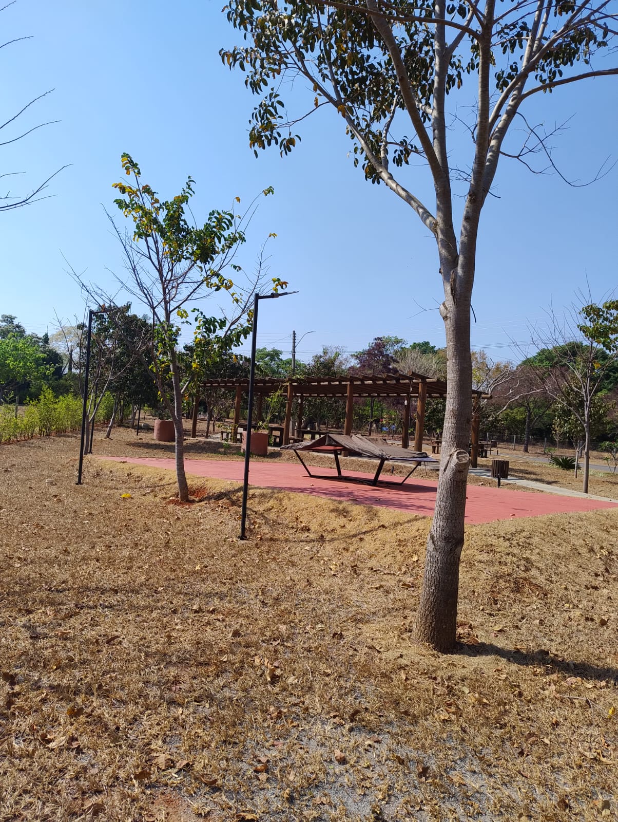Área verde (foto 4) do Terreno no Alto da Boa Vista