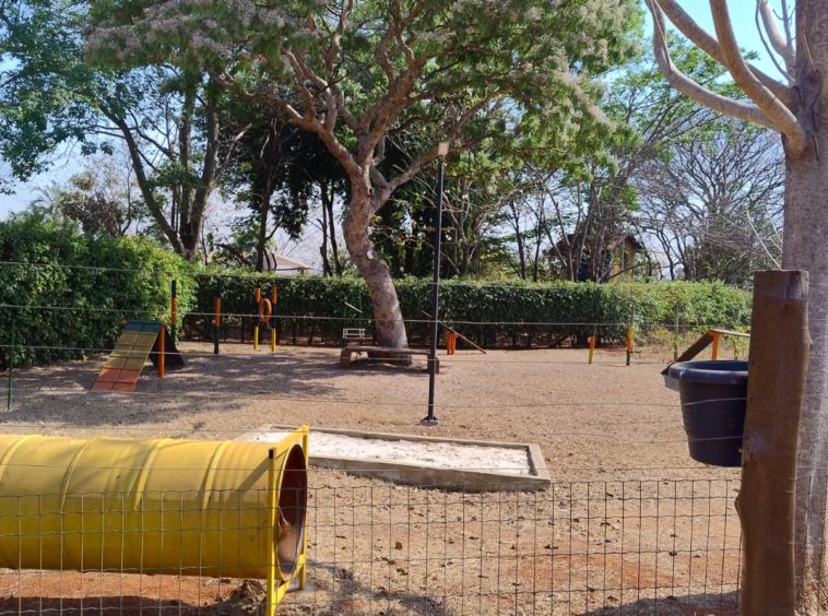 Pet Place (foto 3) do Terreno no Alto da Boa Vista
