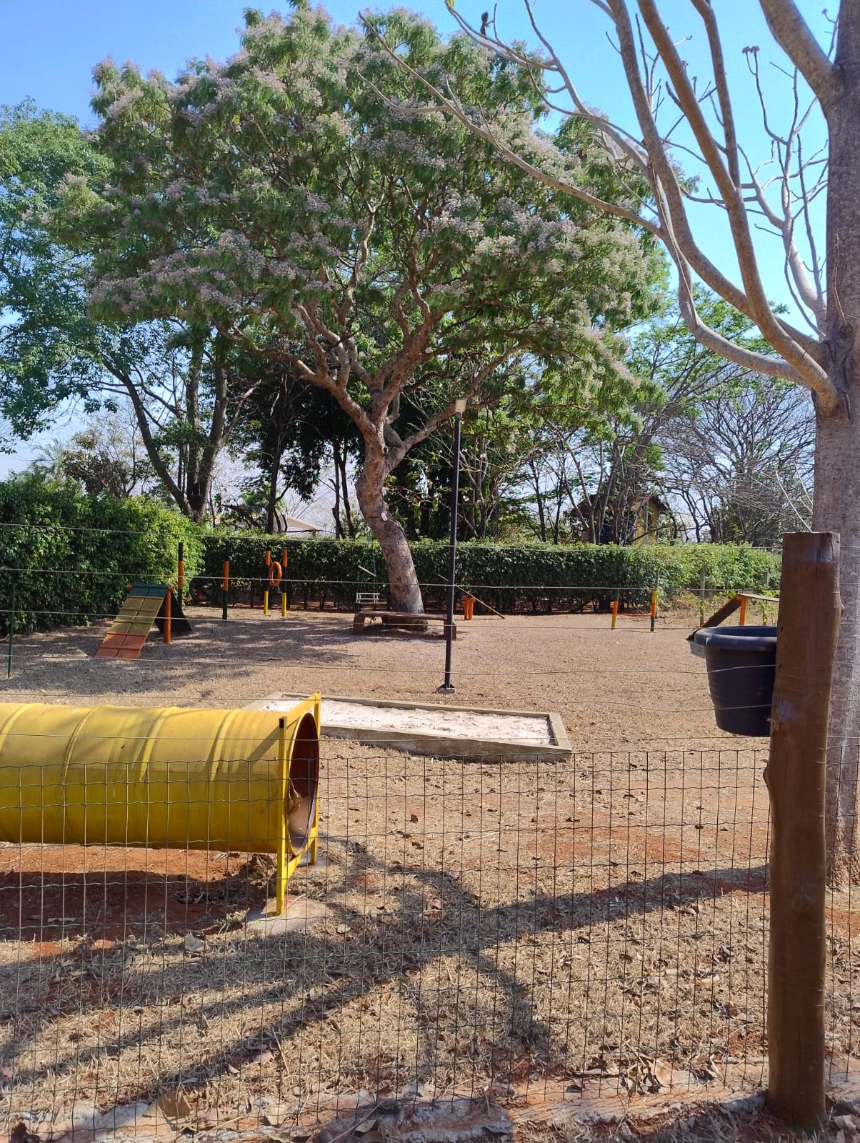 Pet Place (foto 3) do Terreno no Alto da Boa Vista