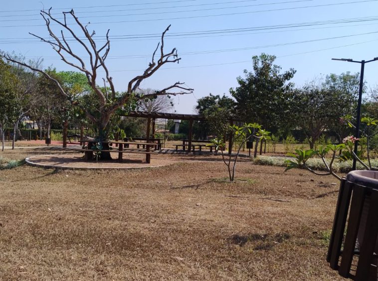 Área verde (foto 5) do Terreno no Alto da Boa Vista