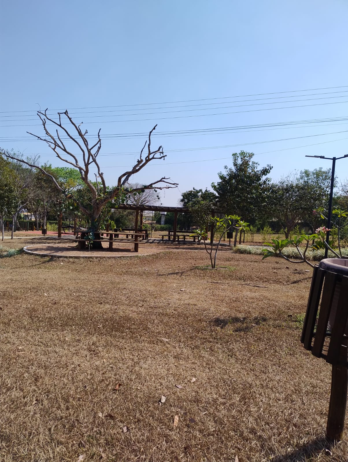 Área verde (foto 5) do Terreno no Alto da Boa Vista