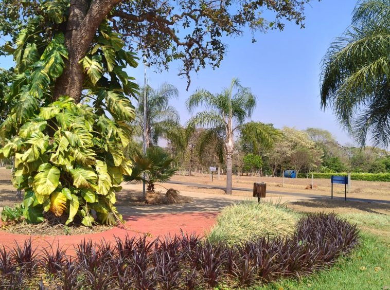 Área verde (foto 3) do Terreno no Alto da Boa Vista