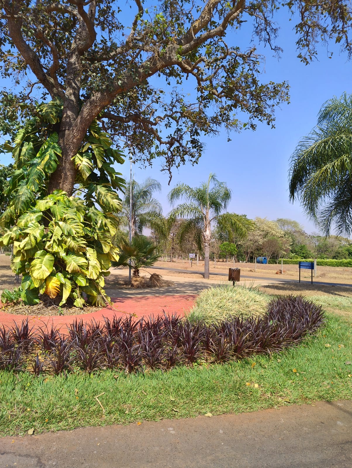 Área verde (foto 3) do Terreno no Alto da Boa Vista