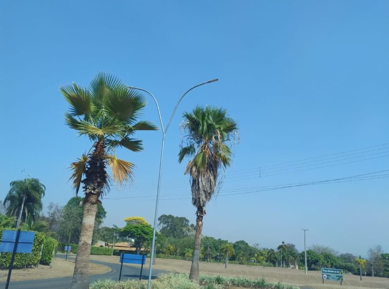 Rua de Acesso do Terreno no Alto da Boa Vista