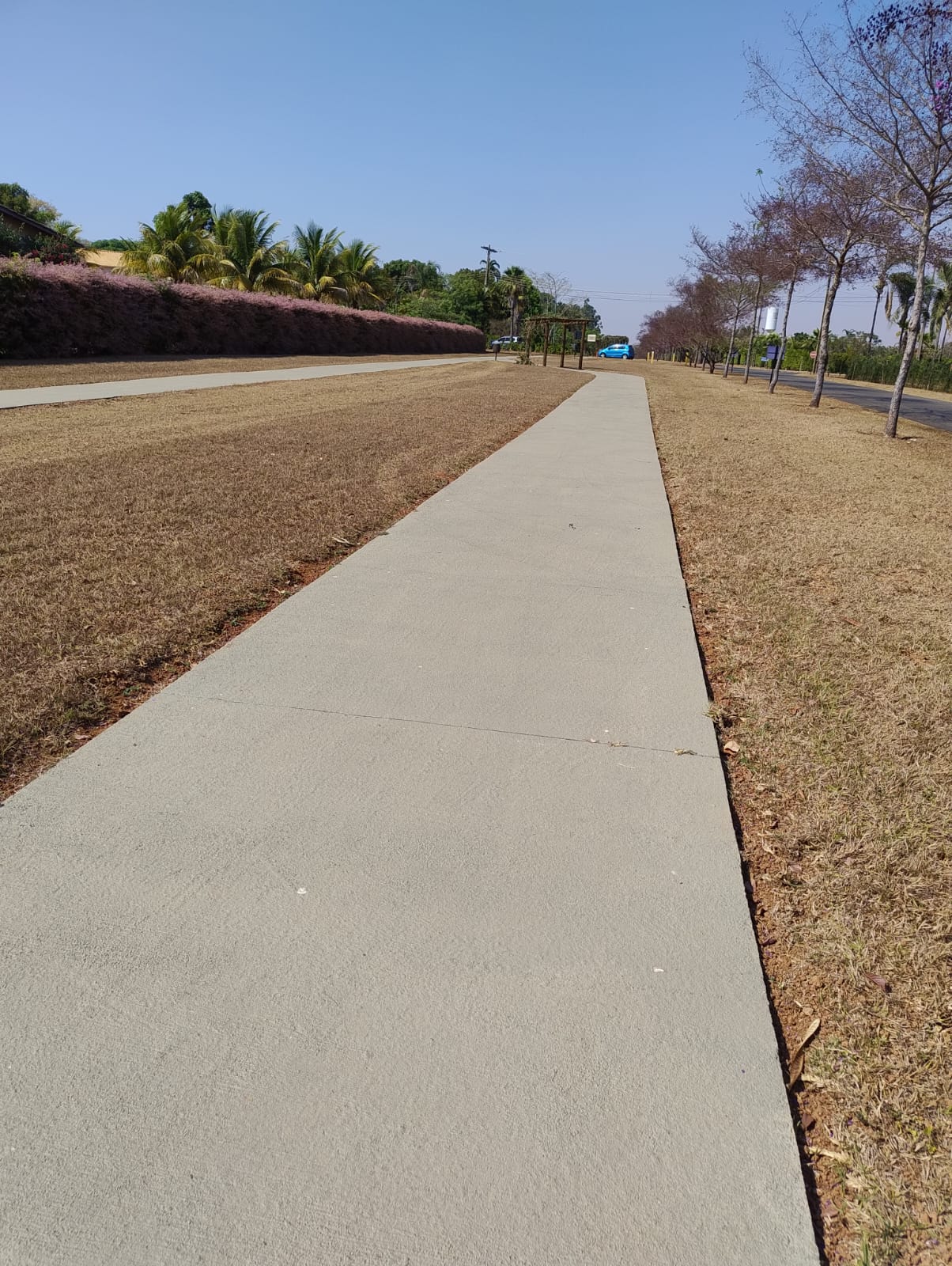 Área de Caminhada do Terreno no Alto da Boa Vista
