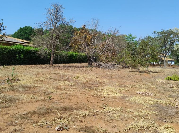 Terreno (foto 2) do Terreno no Alto da Boa Vista