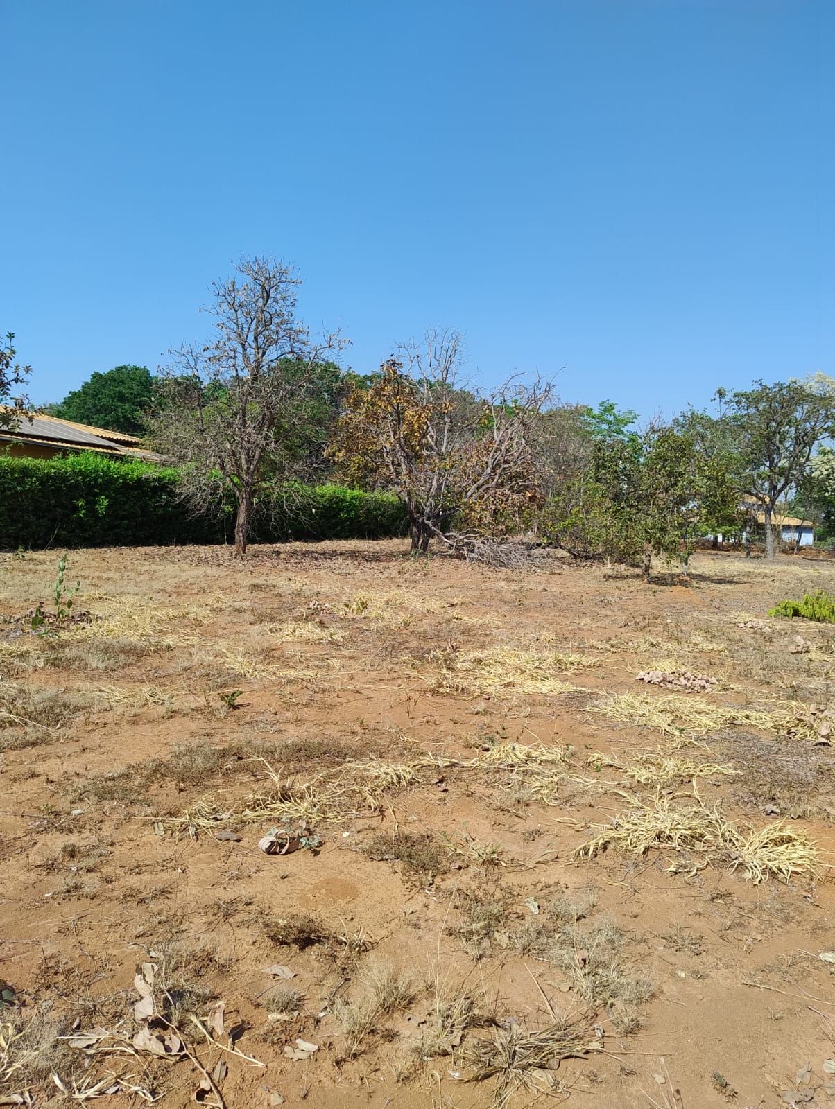 Terreno (foto 2) do Terreno no Alto da Boa Vista
