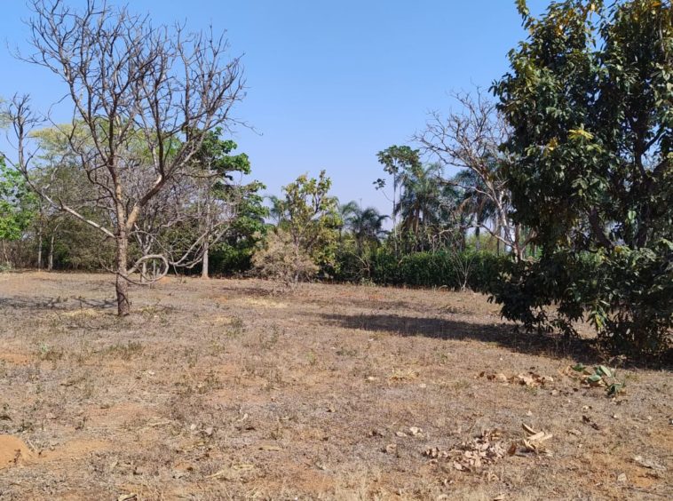 Terreno (foto 3) do Terreno no Alto da Boa Vista