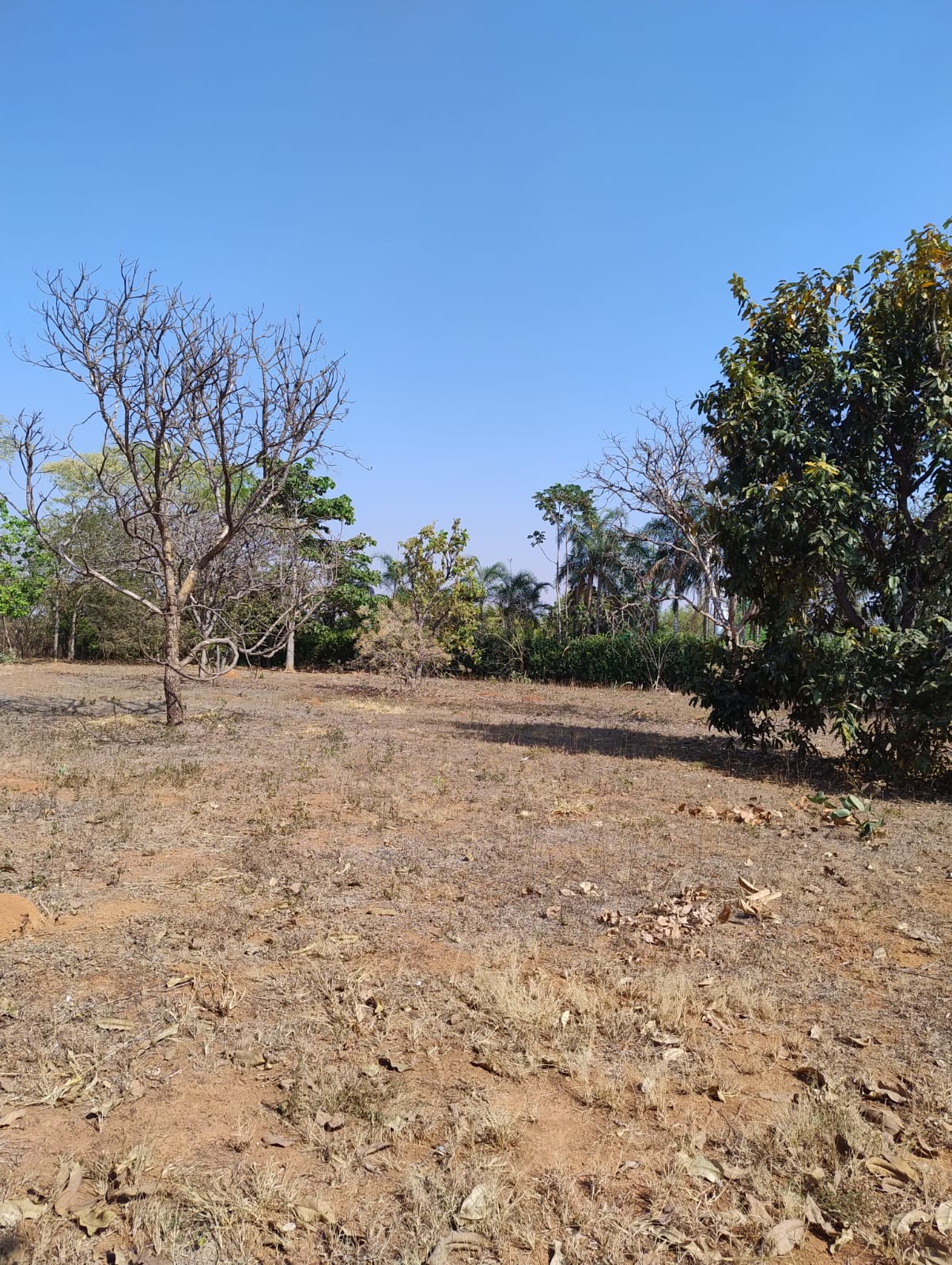 Terreno (foto 3) do Terreno no Alto da Boa Vista