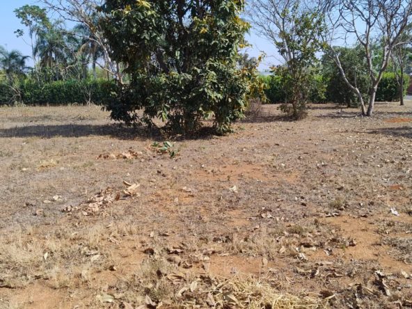 Terreno (foto 1 ) do Terreno no Alto da Boa Vista