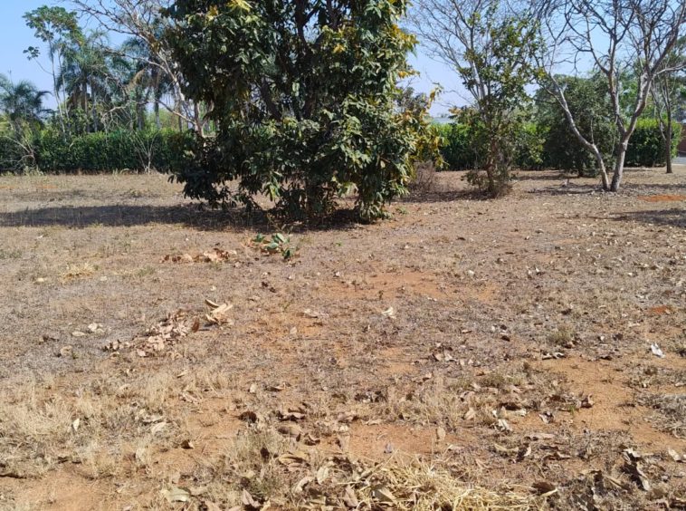 Terreno (foto 1 ) do Terreno no Alto da Boa Vista