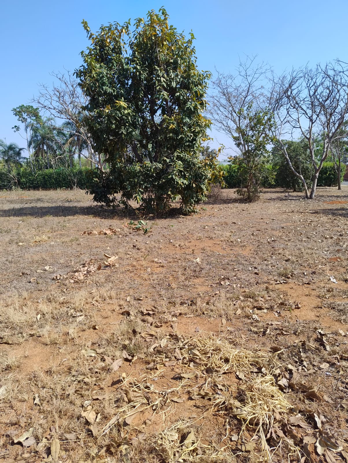 Terreno (foto 1 ) do Terreno no Alto da Boa Vista