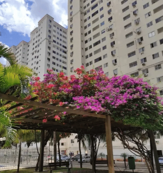 área comum do condominio do Apartamento Mobiliado 2 Quartos