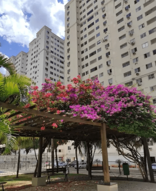 área comum do condominio do Apartamento Mobiliado 2 Quartos