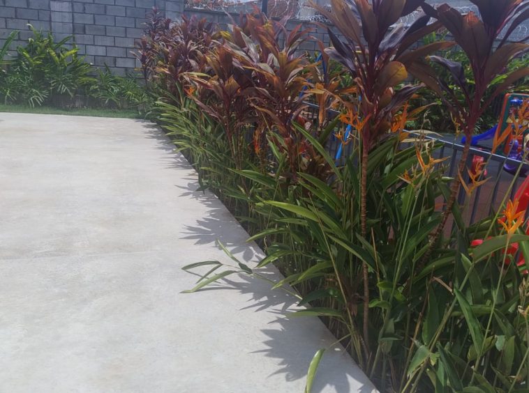 Área Verde do Condomínio no do Apartamento no Estrela Dalva