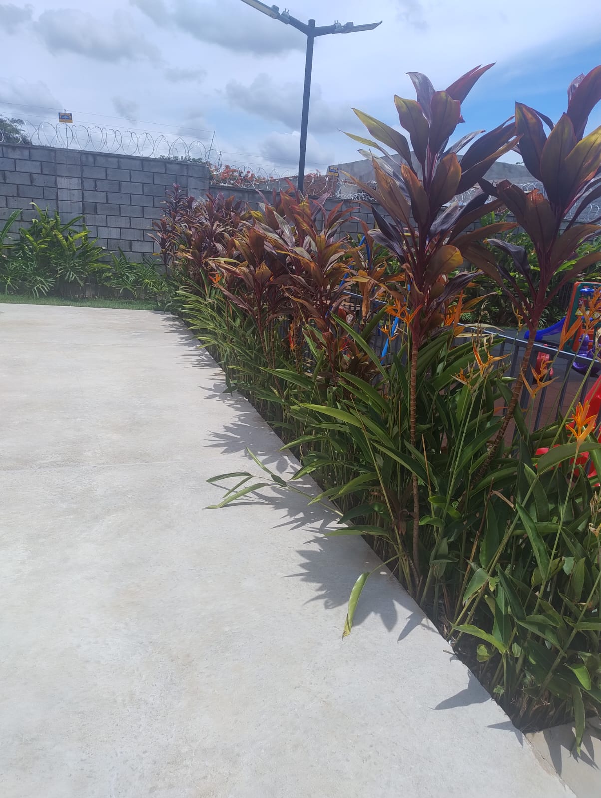 Área Verde do Condomínio no do Apartamento no Estrela Dalva